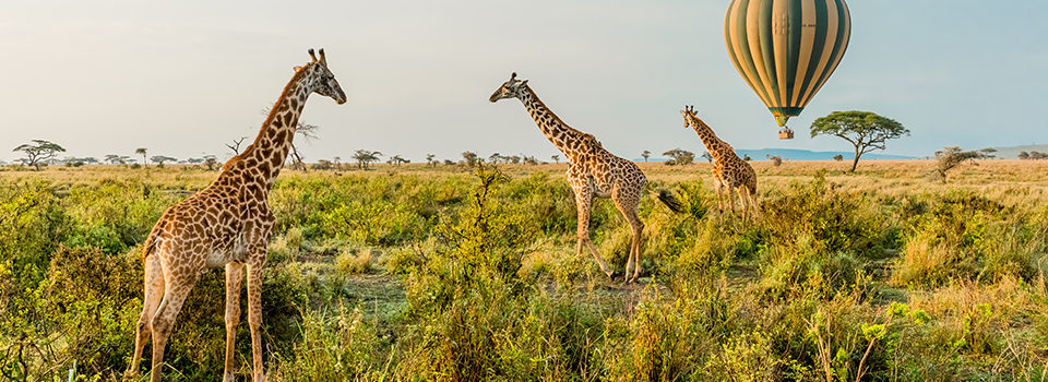 Tanzania